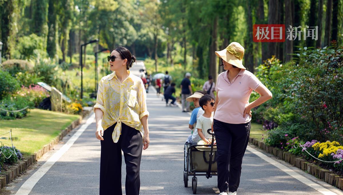 ag金龙珠视频